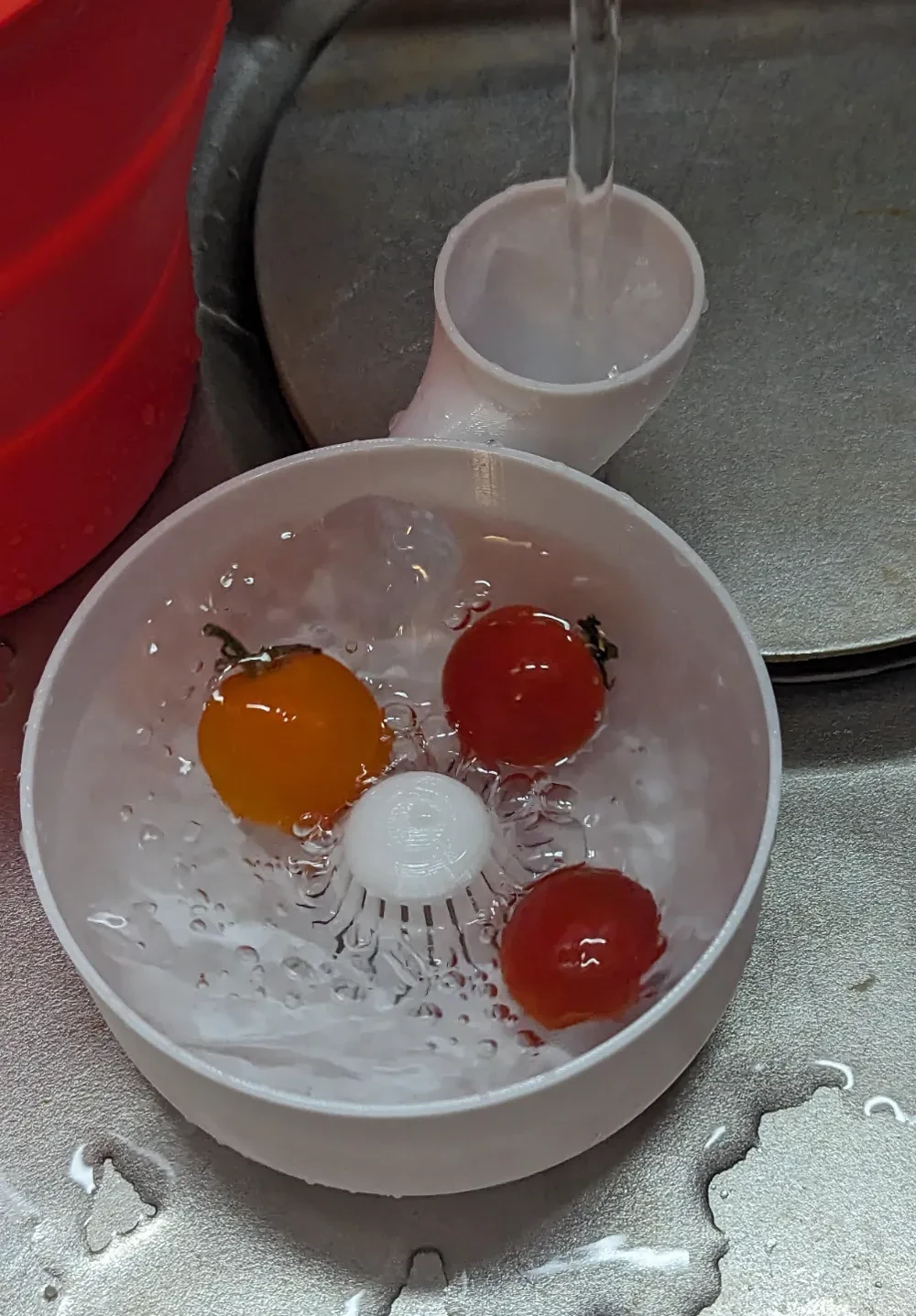 Lavadora automática de frutas y verduras