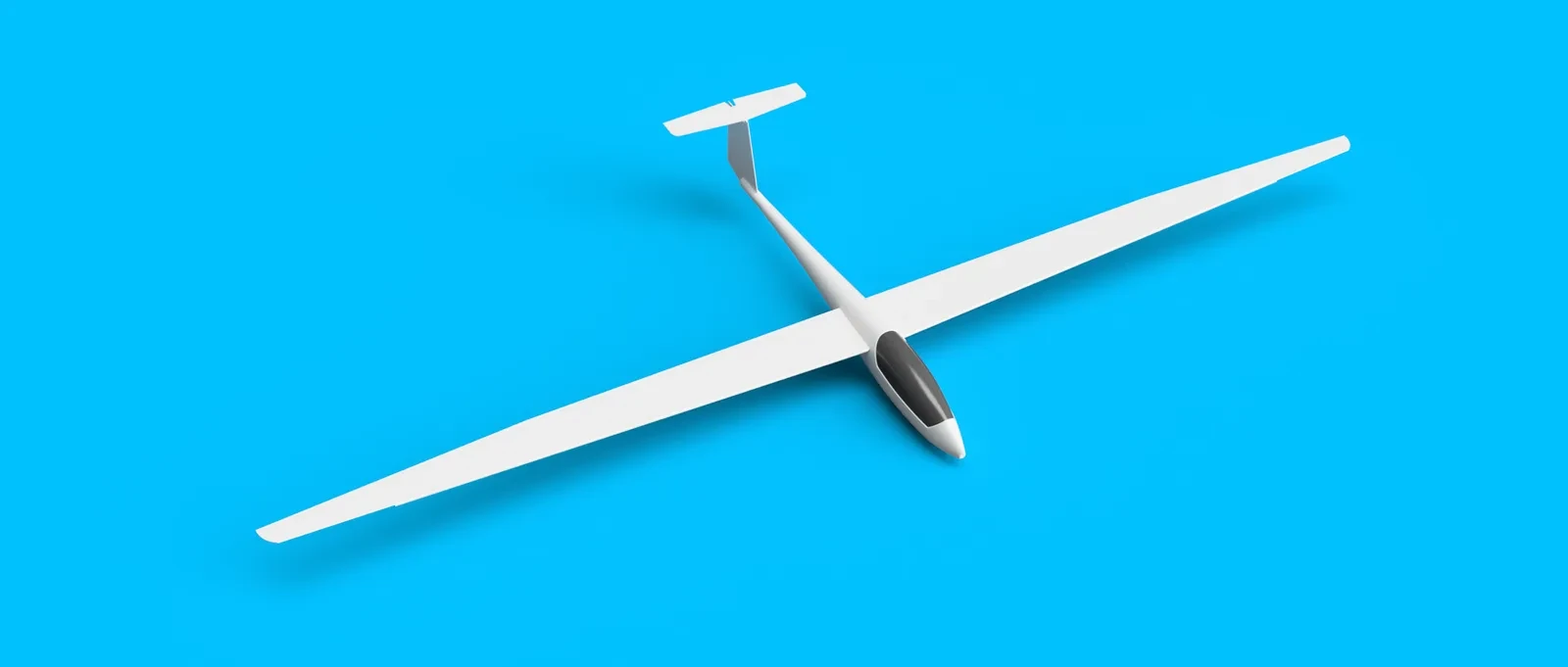 ASW20 Schleicher