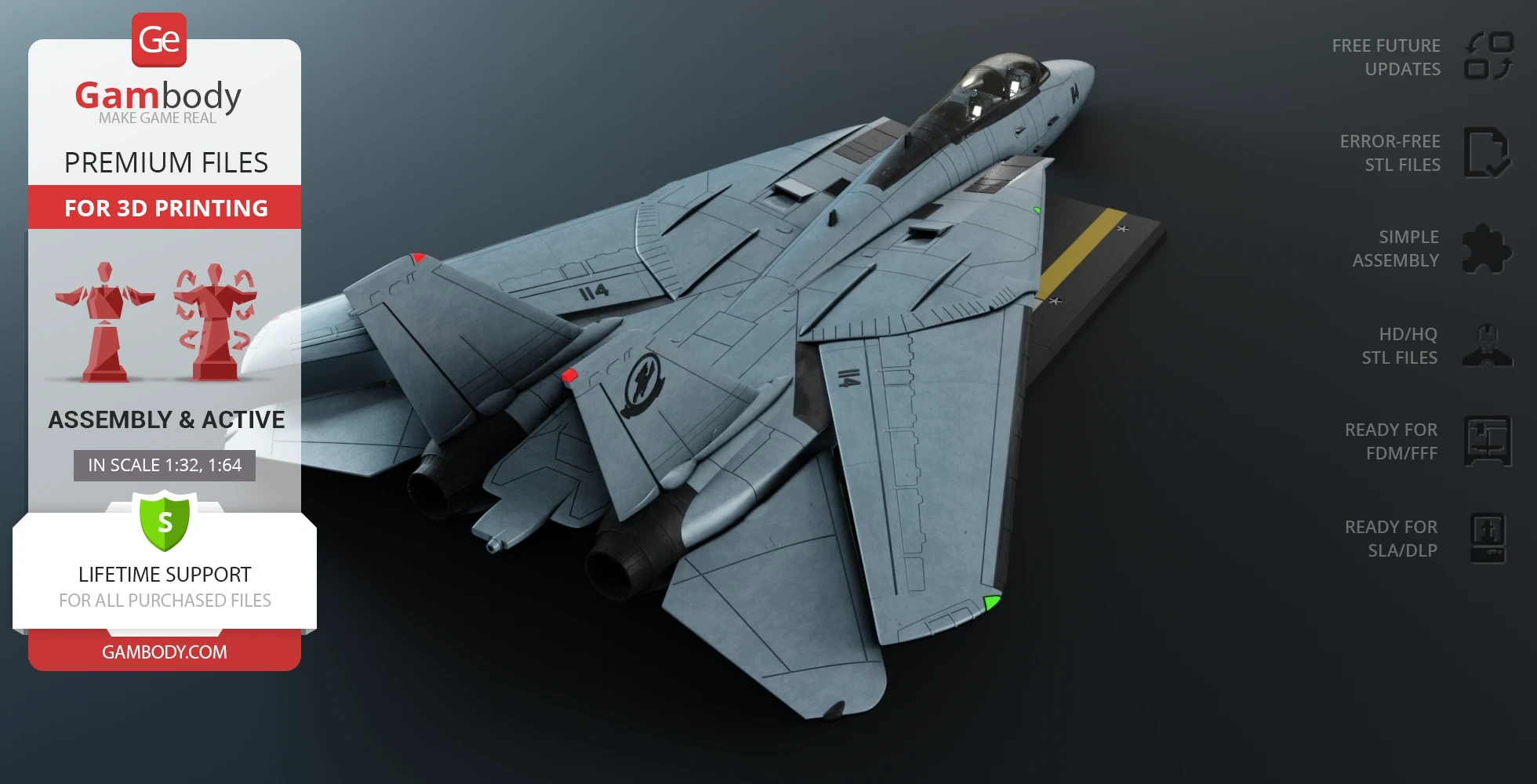 F-14 Tomcat Gambody