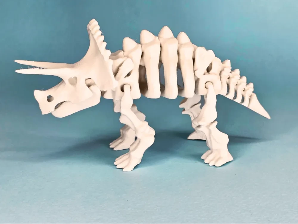 esqueleto articulado de triceratops dinosaurio