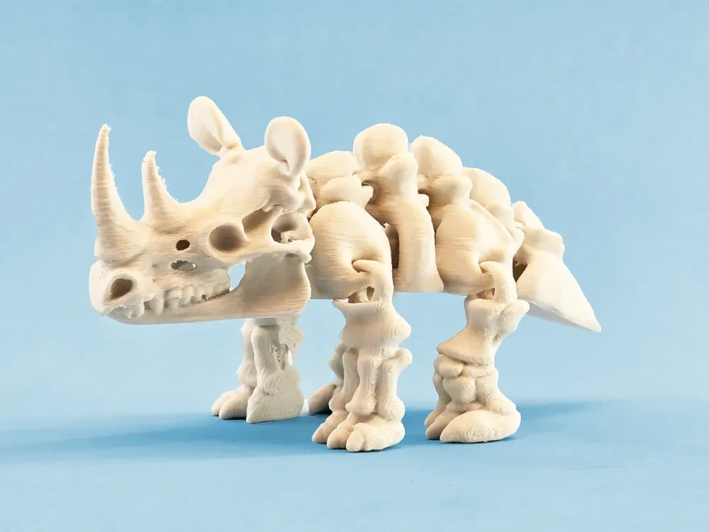 Rinoceronte esqueleto dinosaurio articulado
