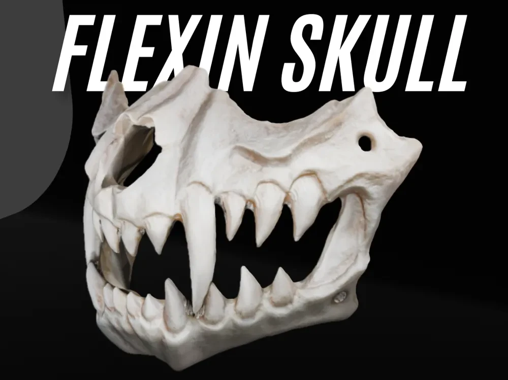 Máscara de Calavera de Halloween