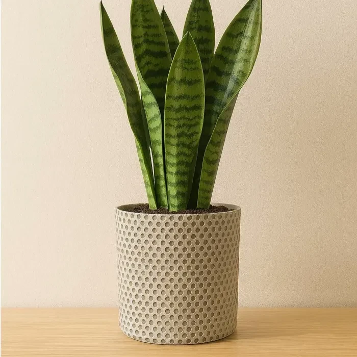 Flower pot Mickey