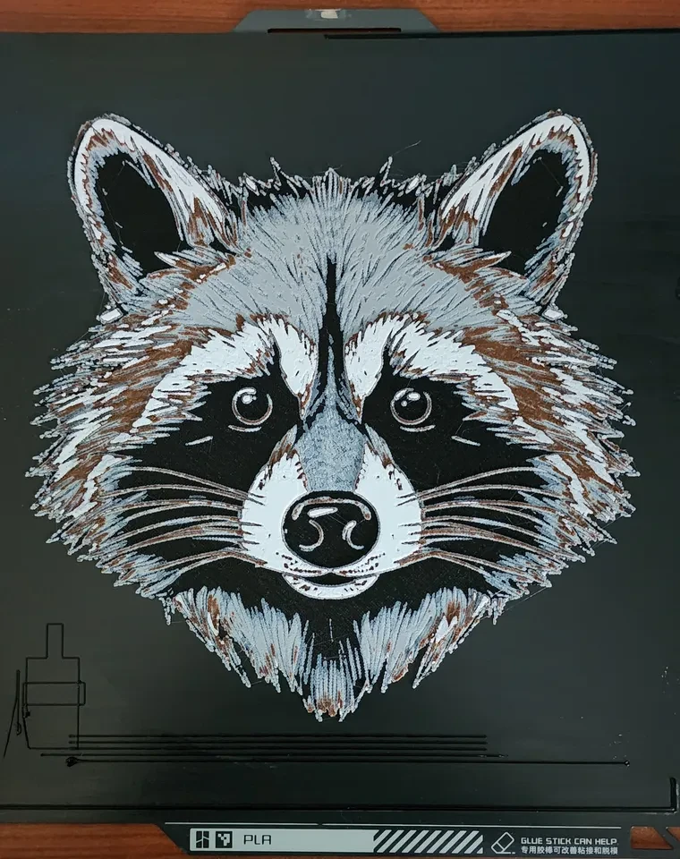 Racoon Head
