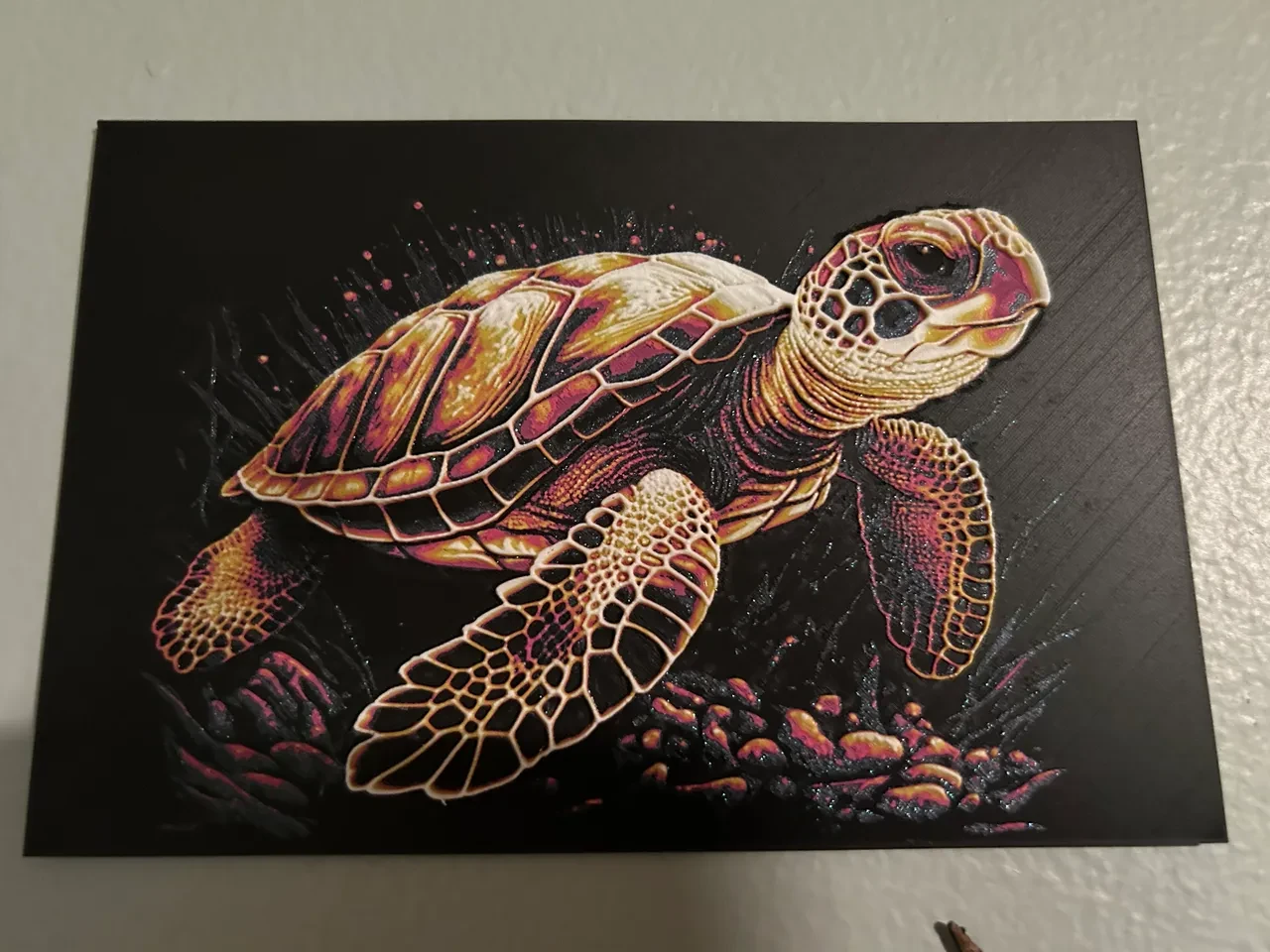 Sea Turtle