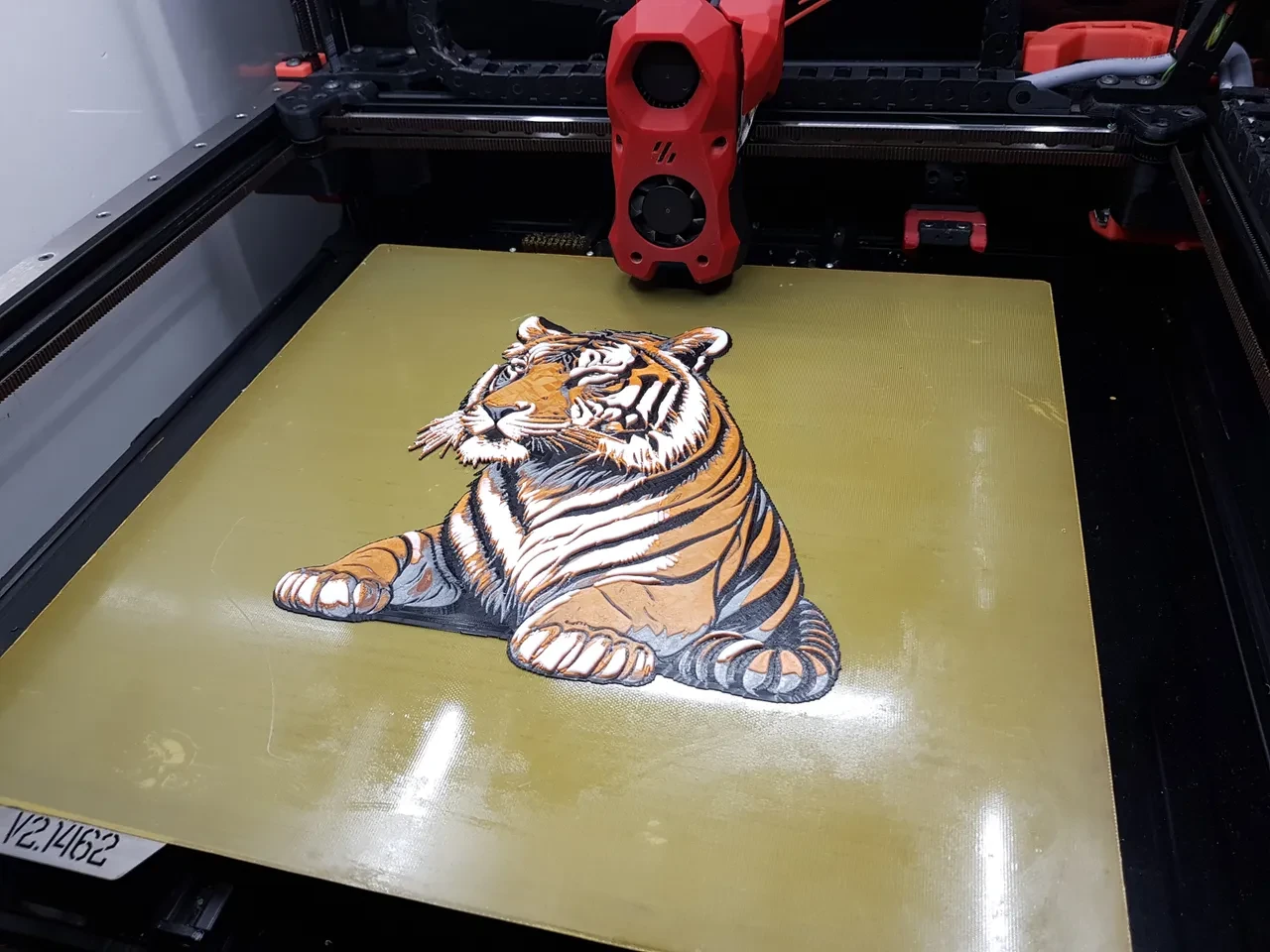 Tiger Face